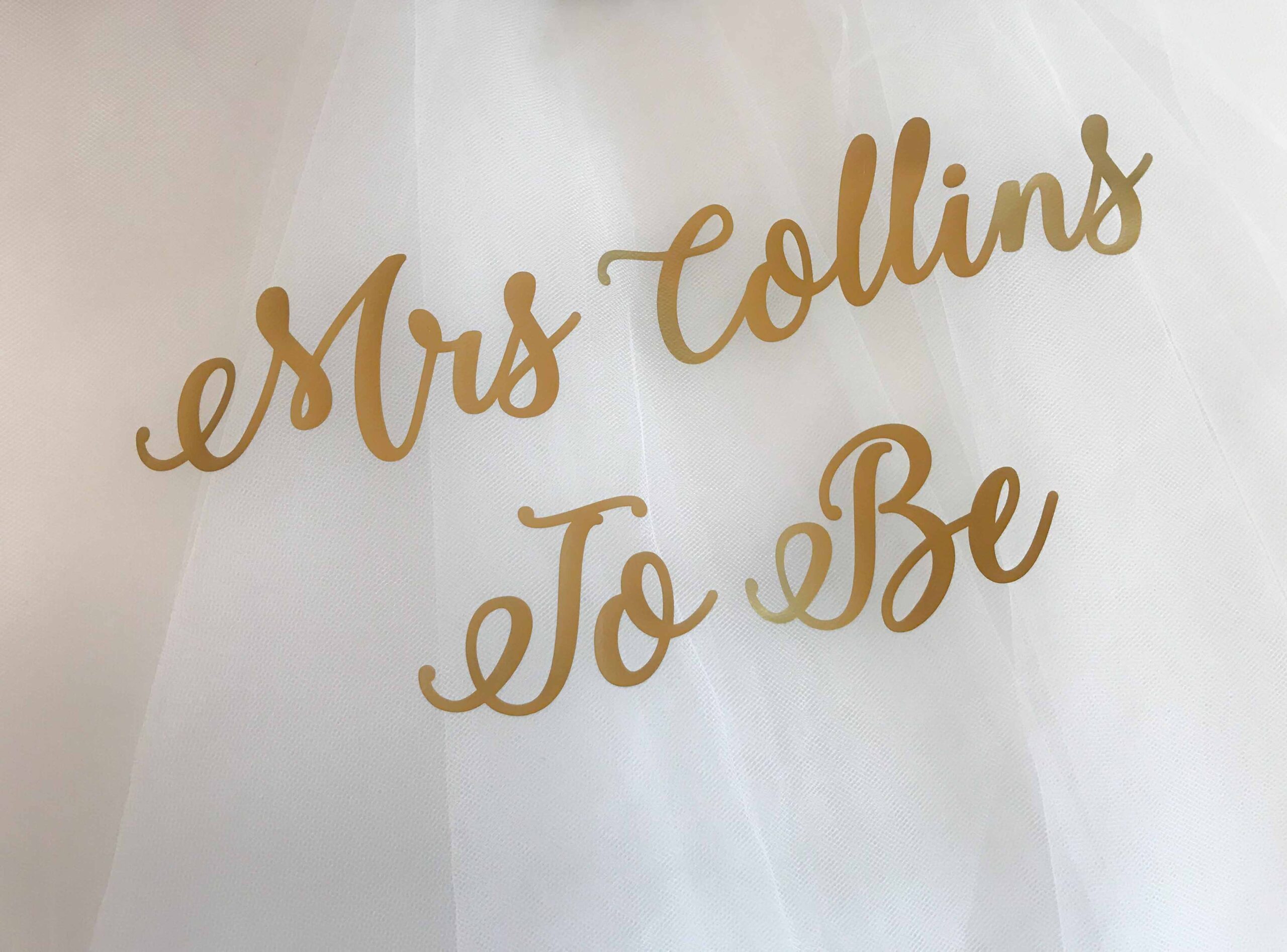 mrs to be hen do veil with text