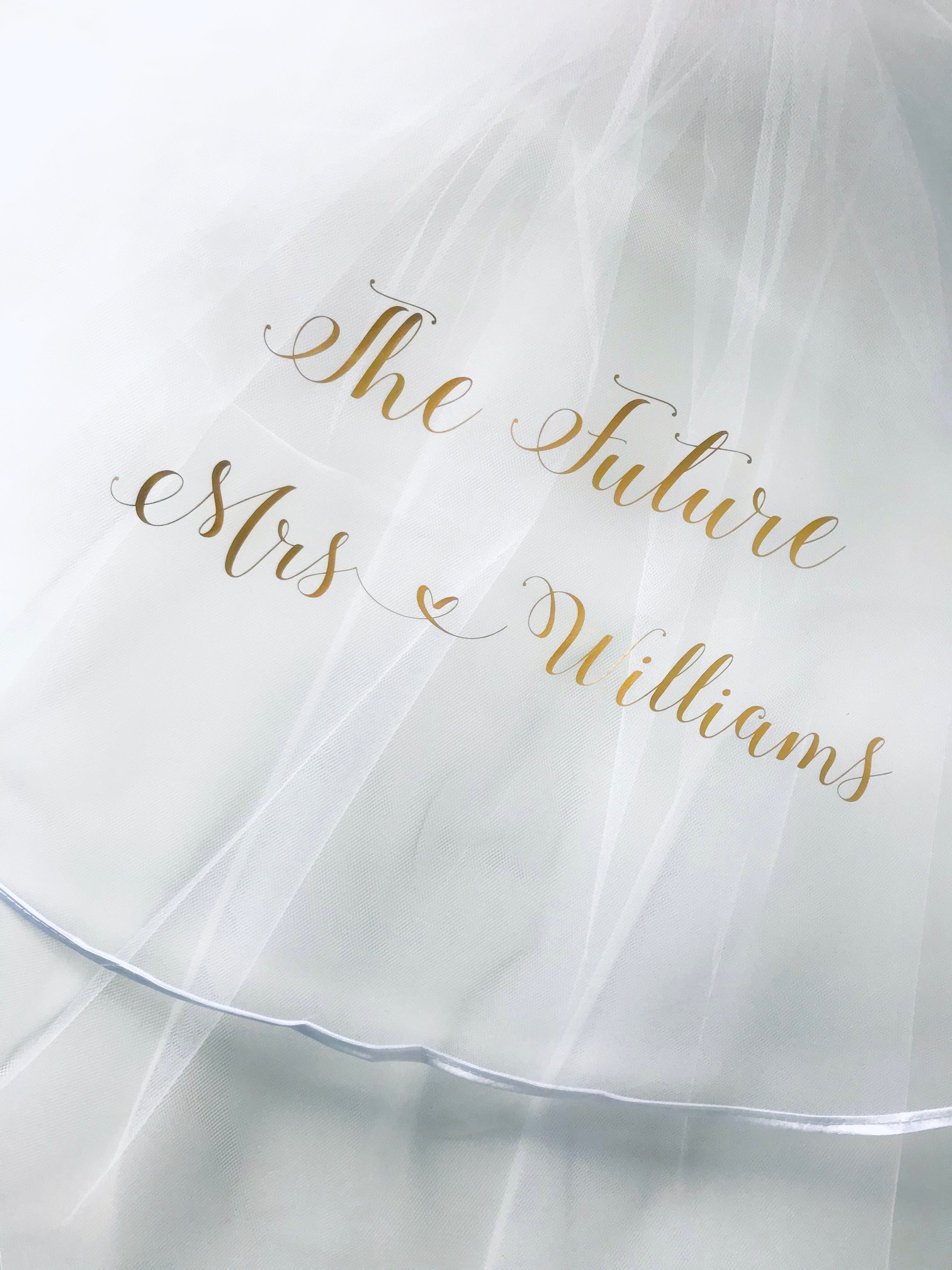 the future mrs hen party veil