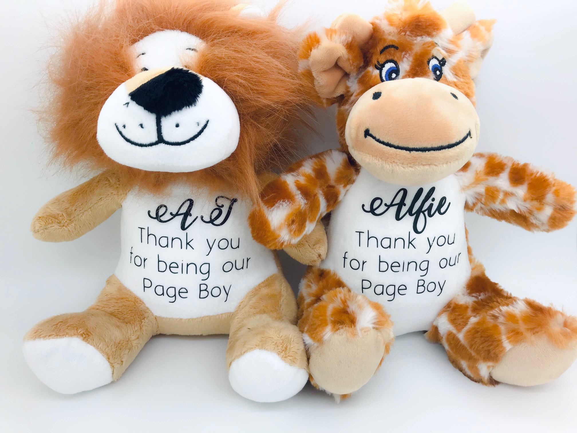 page boy teddies